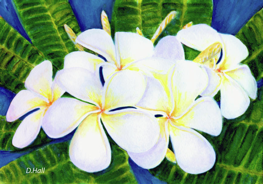 Hawaii Tropical Plumeria Flower  #208 Painting