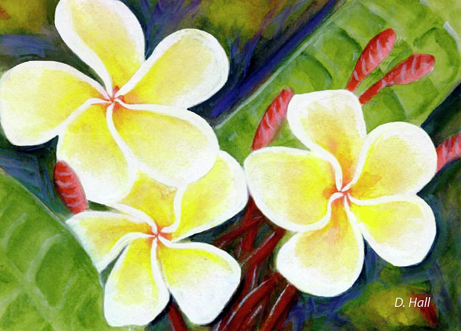 Plumeria Painting - Hawaii Tropical Plumeria Flower #298, by Donald K Hall