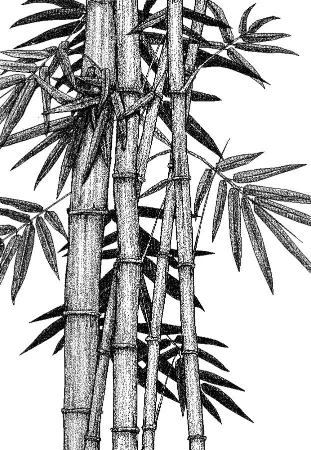 Hawaiian Bamboo Digital Art - Hawaiian Bamboo black by Stephen Jorgensen