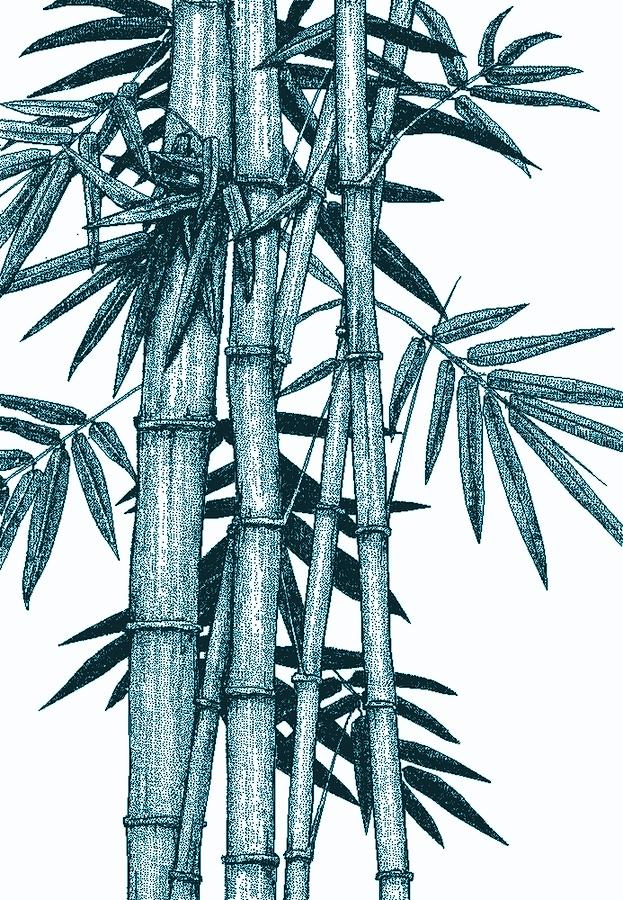 Hawaiian Bamboo blue Digital Art by Stephen Jorgensen