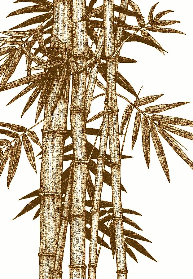 Hawaiian Bamboo sienna Digital Art by Stephen Jorgensen