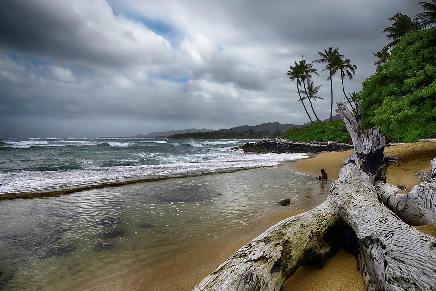 Hawaiian Beach on Kauai Photograph by Steven Michael