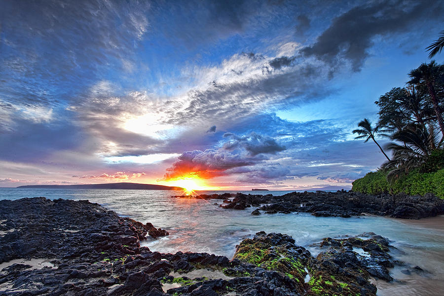 Hawaiian Beauty  Photograph by James Roemmling
