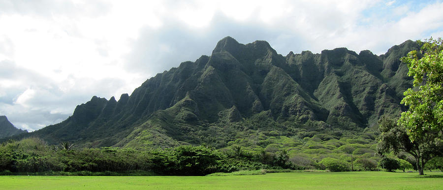 Hawaiian Cliffs Photograph by Shannon Pearson - Fine Art America