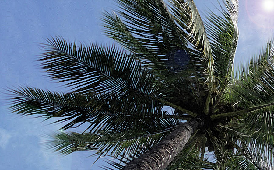 Hawaiian Coconut Palm on Maui Digital Art by Kedoki - Fine Art America