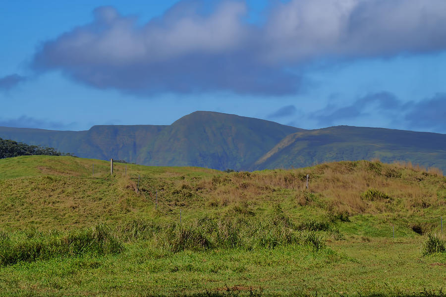 Hawaiian Countryside Photograph by Pamela Walton - Fine Art America