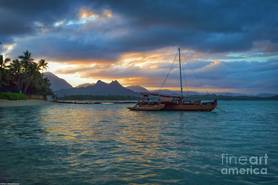 Hawaiian Dreams Photograph by Mitch Shindelbower