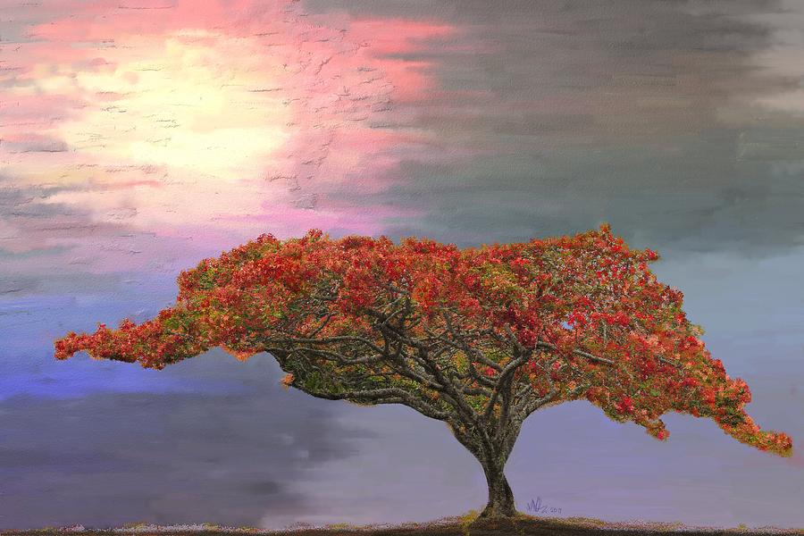 Hawaiian Flame Tree by Angela Stanton Hawaiian Flame Tree by Angela Stanton