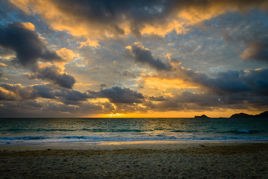 Hawaiian Gold Photograph by Michael Scott