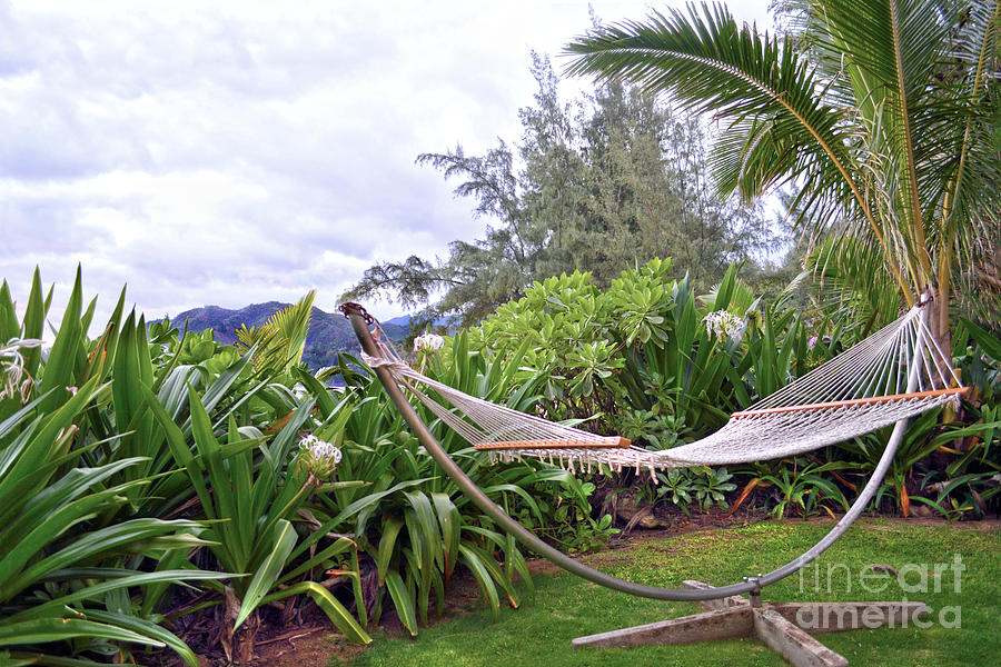 Hawaiian Hammock Photograph by Catherine Sherman