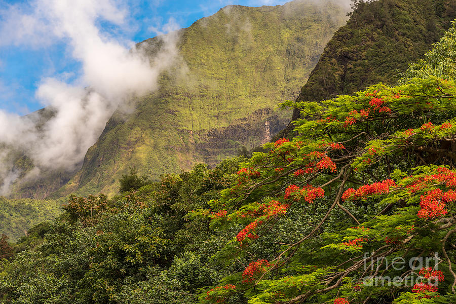 Hawaiian Landscape, Maui Photograph by Mel Ashar