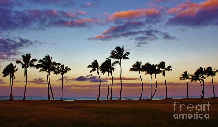 Hawaiian Morning Photograph by Craig Wood