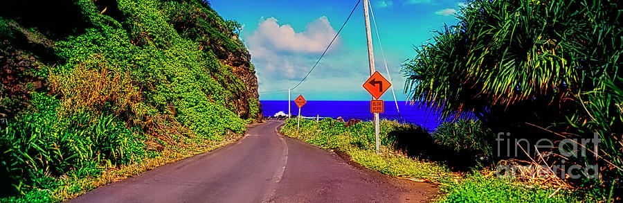   Hawaiian mountian road  Photograph by Tom Jelen