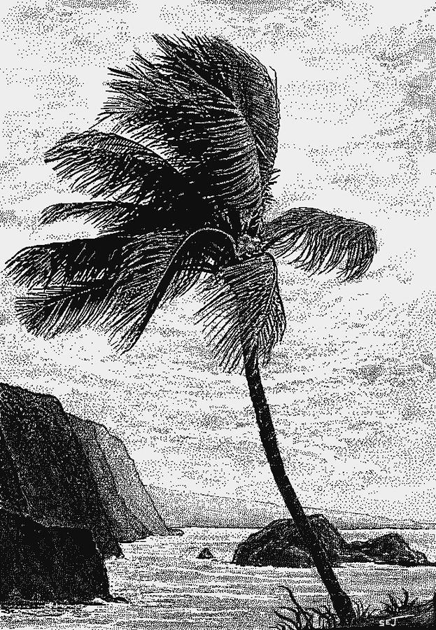 Hawaiian Palm Tree on a Windy Day black Digital Art by Stephen Jorgensen