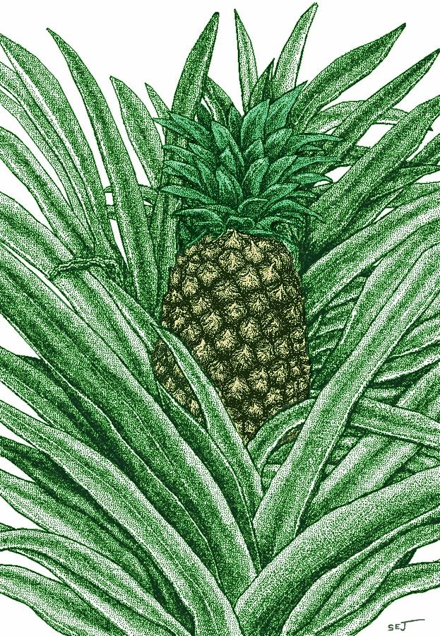 Hawaiian Pineapple colored Digital Art by Stephen Jorgensen