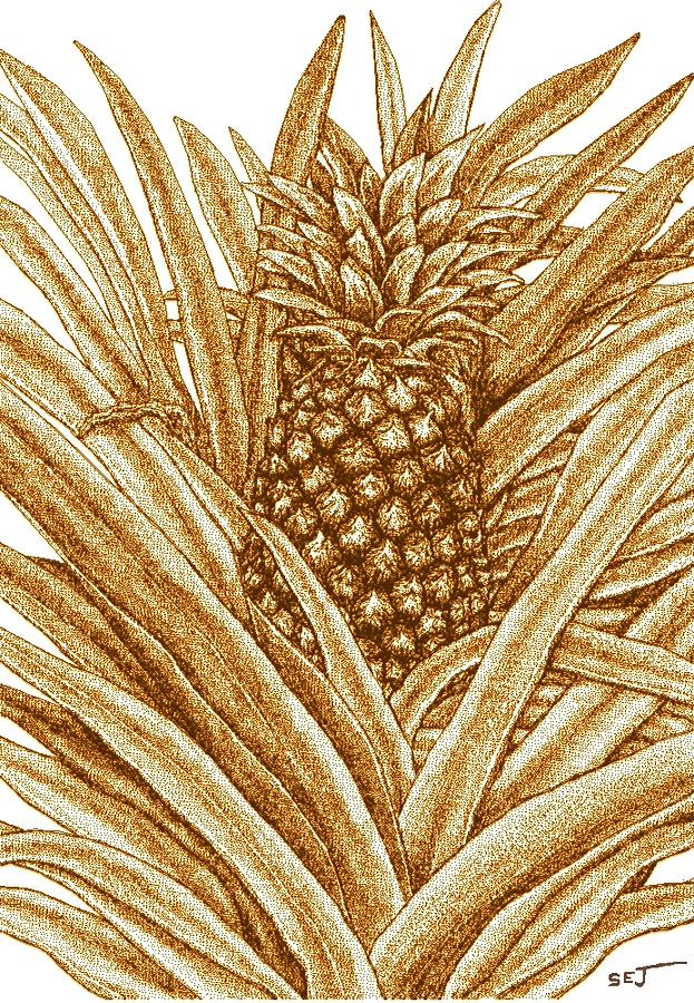 Hawaiian Pineapple sienna Digital Art by Stephen Jorgensen