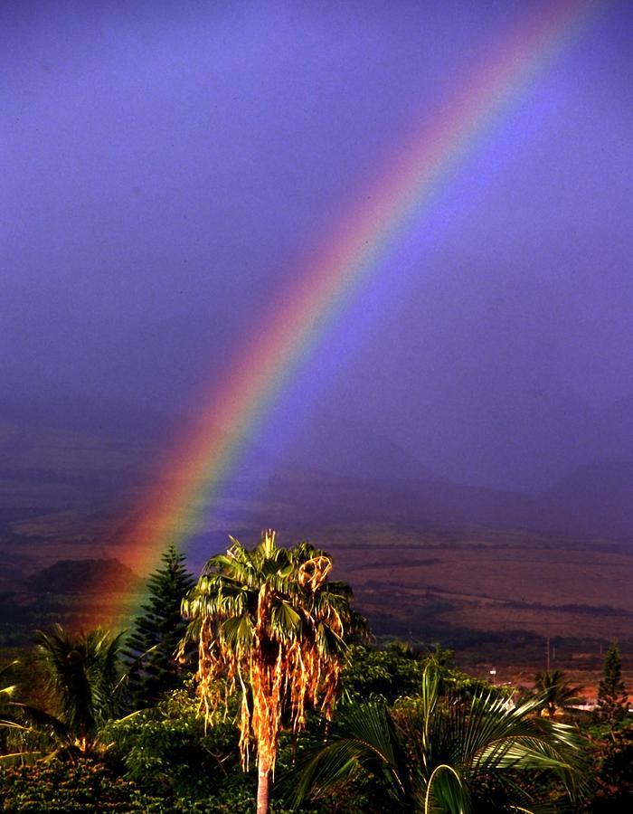 Hawaiian rainbow Photograph by Gary Brandes