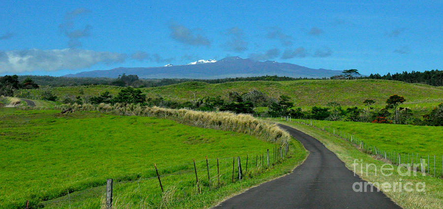 Hawaiian Road Photograph by Tatyana Searcy