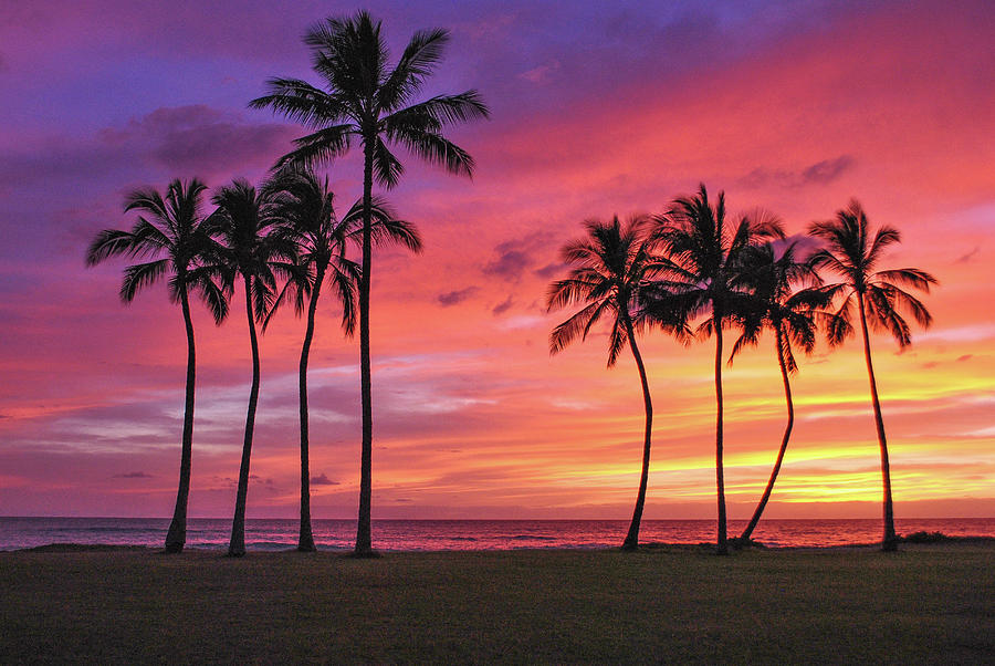 Hawaiian Sky Photograph