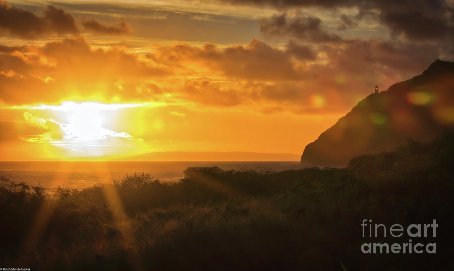 Hawaiian Sun Kissed Morning Photograph by Mitch Shindelbower
