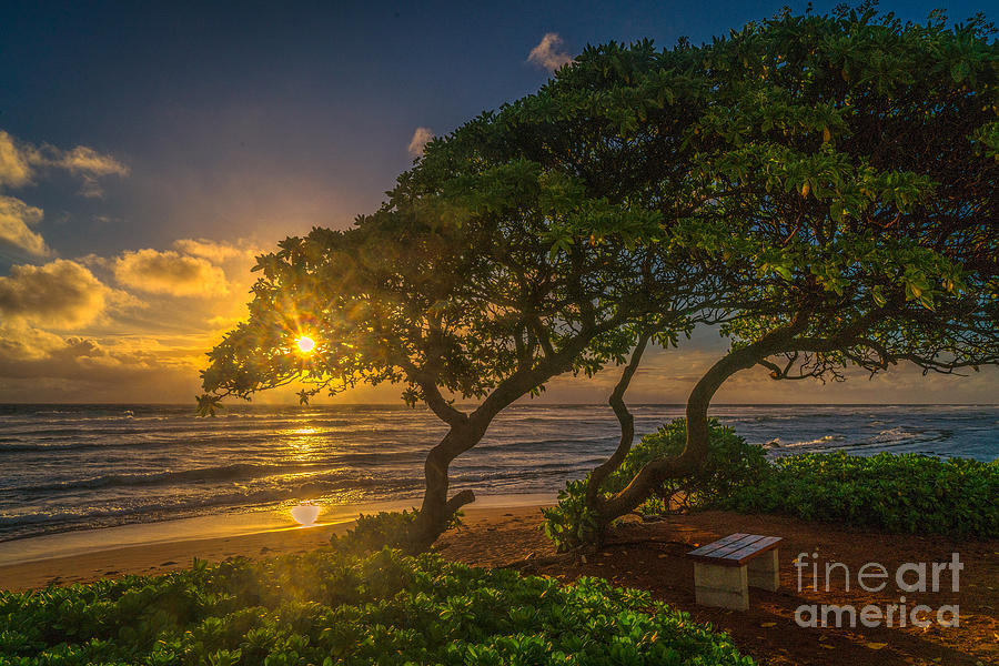 Hawaiian sunrise Photograph by Izet Kapetanovic