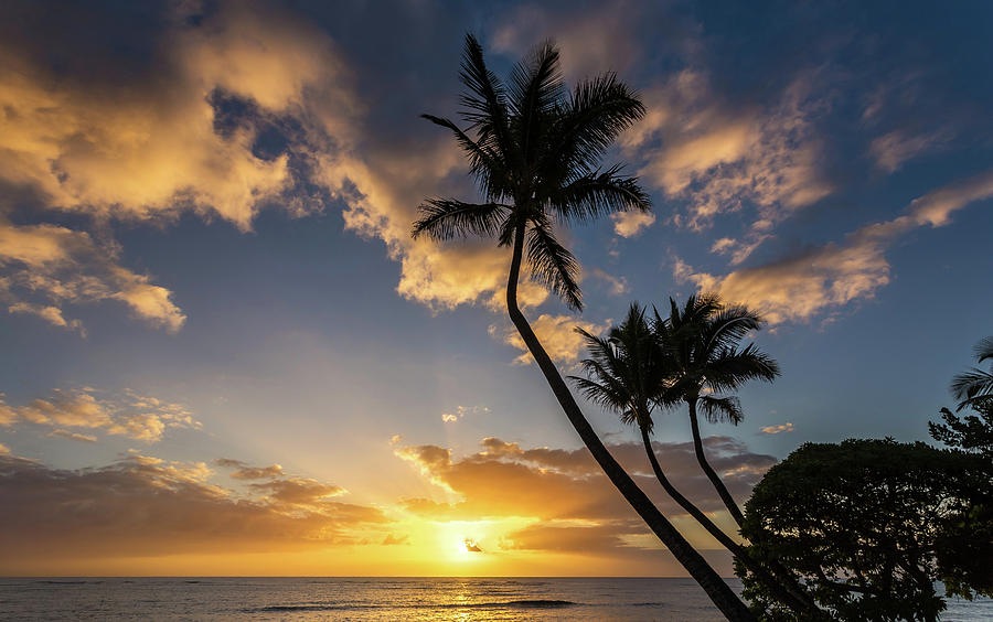 Hawaiian Sunrise Photograph by Pierre Leclerc Photography