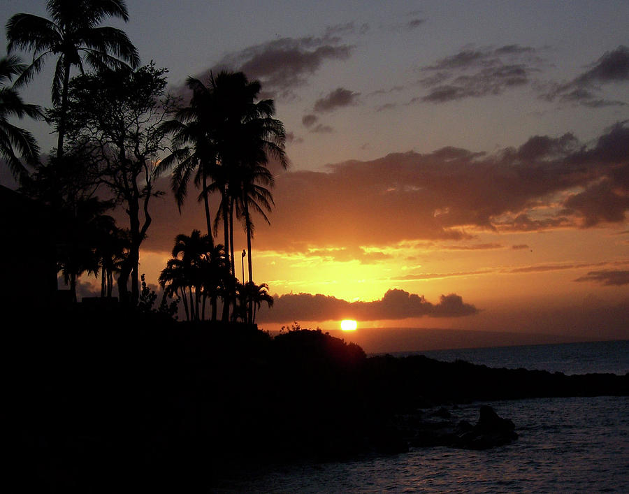 Hawaiian Sunset Photograph by Carl Sheffer