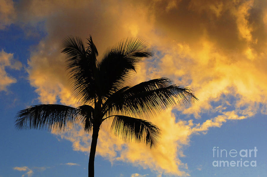Hawaiian Sunset Hanalei Bay 5  Photograph by Bob Christopher
