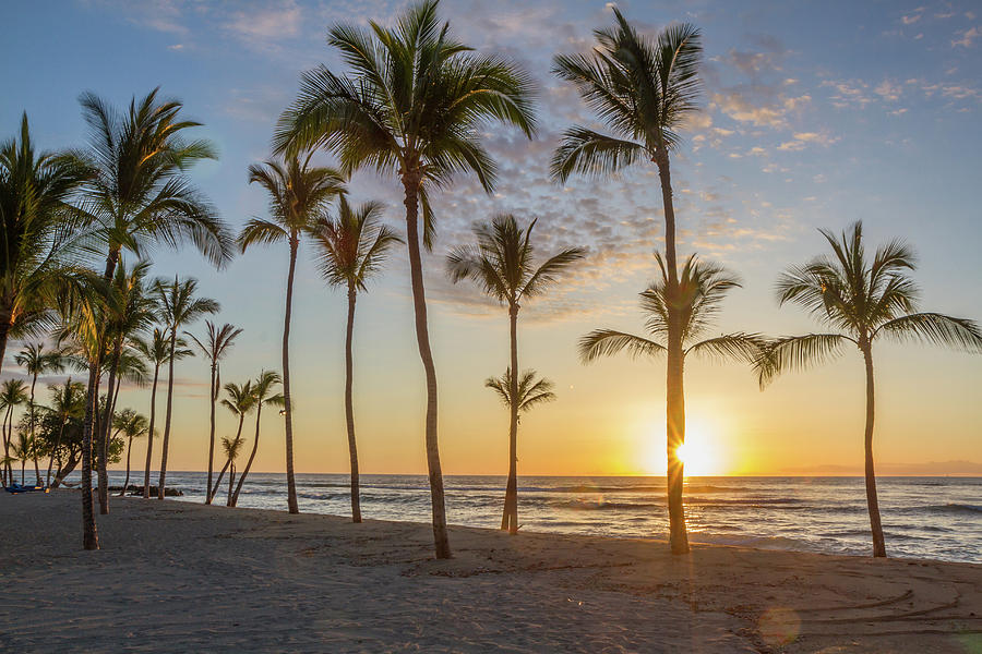 Paradise Photograph - Hawaiian Sunset on Big Island by Patrick Civello