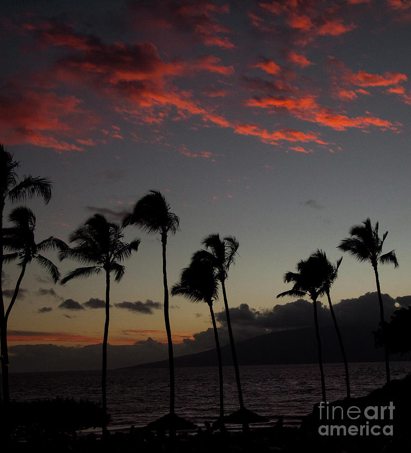 Hawaiian Sunset-Signed-#3387 Photograph by J L Woody Wooden