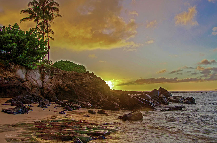 Hawaiian Sunset Photograph by Will Wagner