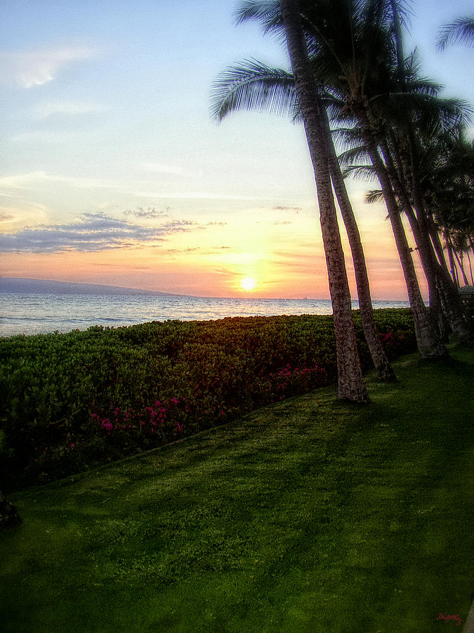 Hawaiian Tropical Sunset Photograph by Glenn McCarthy Art and Photography