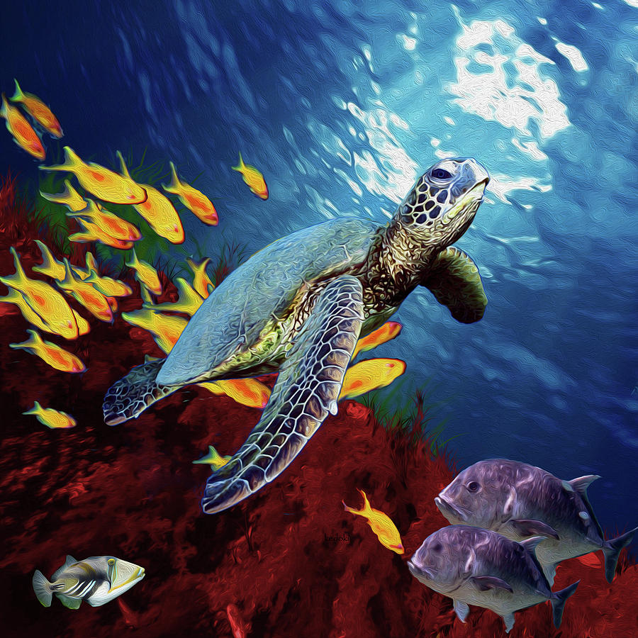 Turtle Swimming Diamond Painting Lovely Fish Design House Portrait Wall  Displays