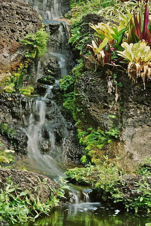Hawaiian Waterfall Photograph by Michael Peychich