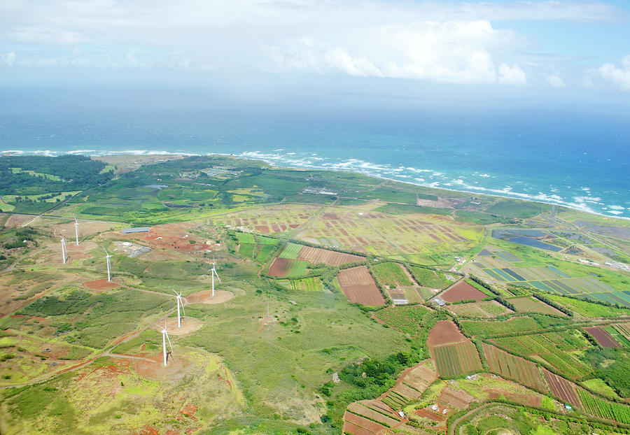 Hawaiian Wind Farm Photograph