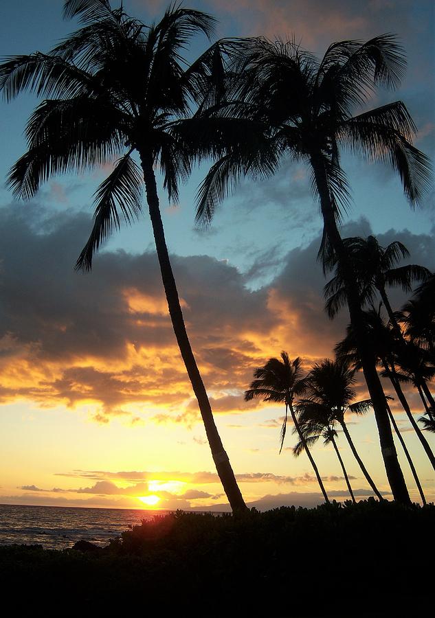 Hawaiin Sunset Photograph by Charles HALL