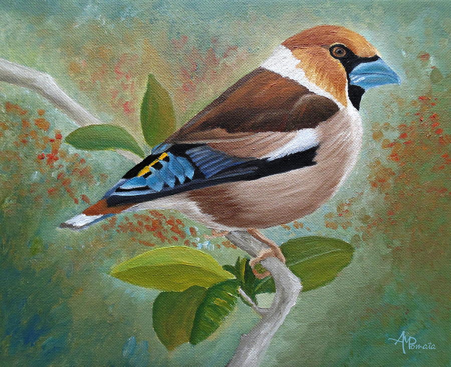 Hawfinch Painting by Angeles M Pomata