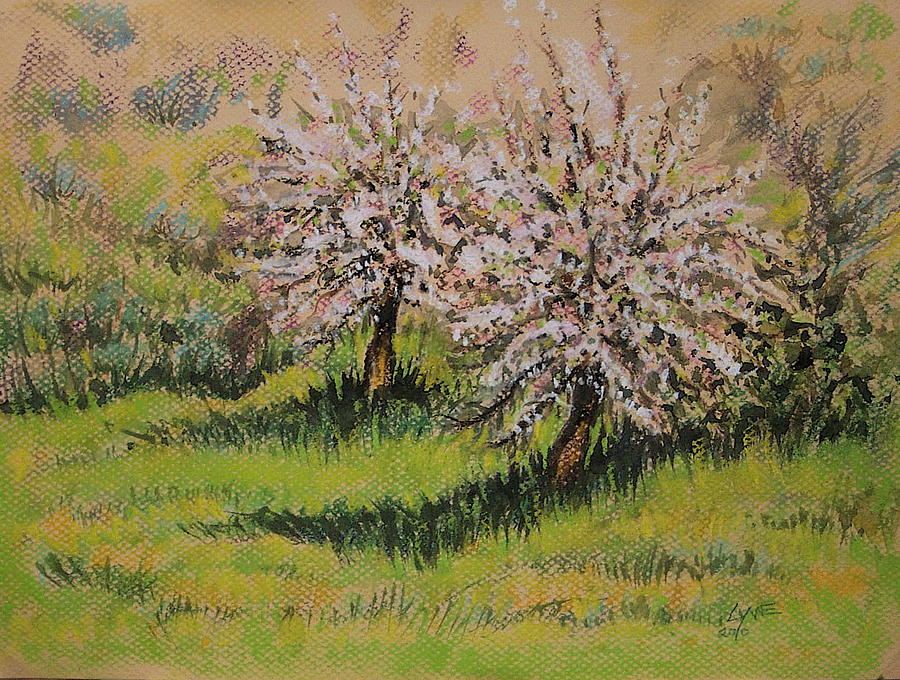 Hawk Creek Apple Blossoms Painting by Lynne Haines