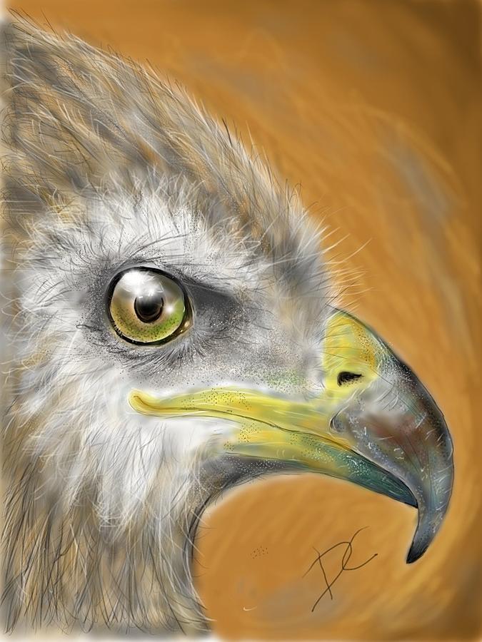 Hawk Digital Art by Darren Cannell
