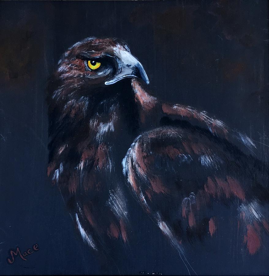 Hawk Eye Painting by Joan Mace - Fine Art America