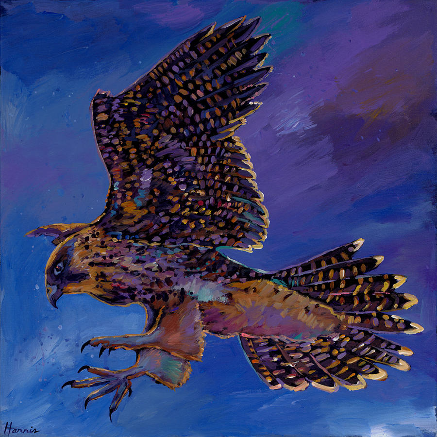 Wildlife Painting - Hawk Flight by Johnathan Harris