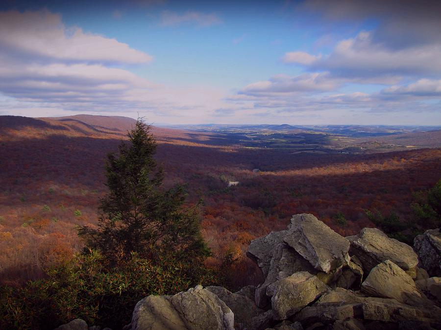 Hawk Mountain Sanctuary Photograph by David Dehner