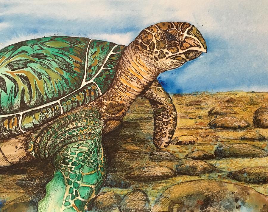 Hawkbilled Sea Turtle Painting by Mastiff Studios