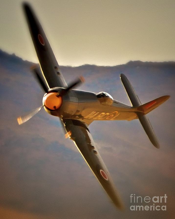 Hawker Sea Fury Argonaut Photograph by Gus McCrea