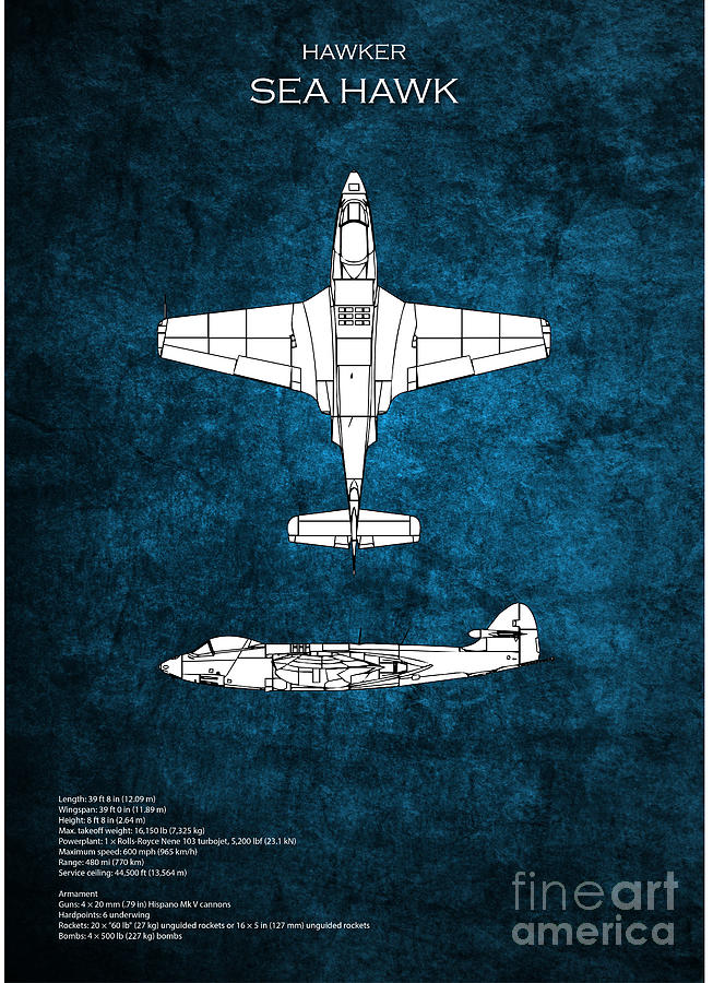 Hawker Sea Hawk Blueprint Digital Art by Airpower Art