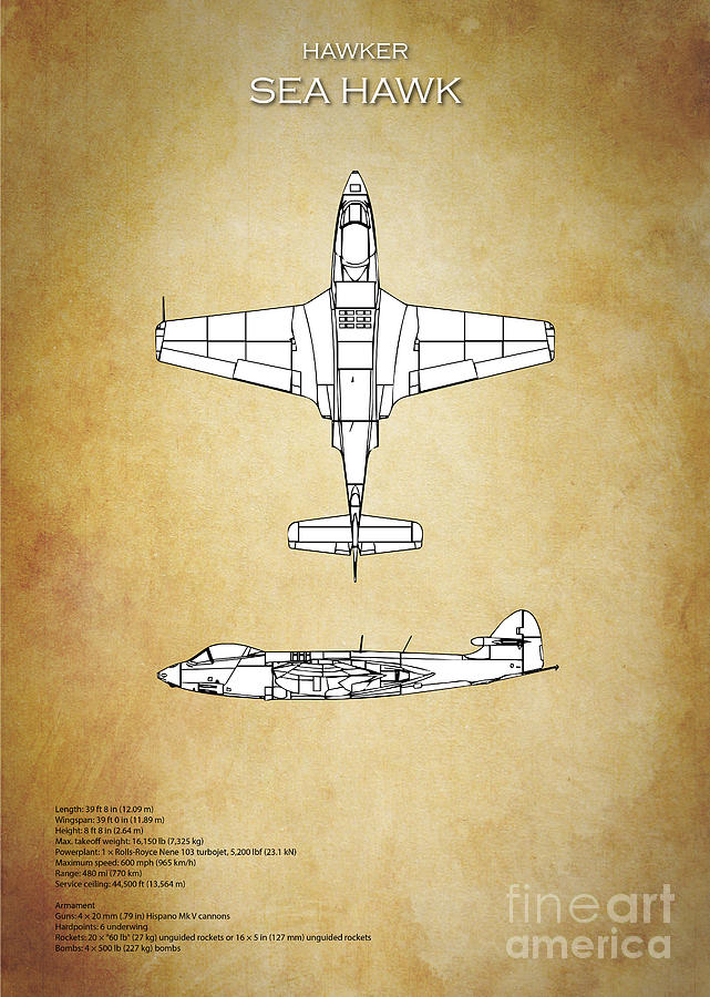 Hawker Sea Hawk Digital Art by Airpower Art