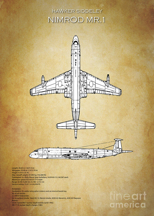 Hawker Siddeley Nimrod Digital Art by Airpower Art