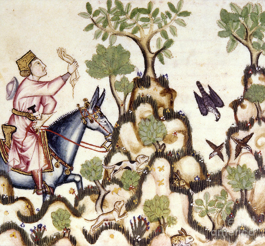 HAWKING, 13th CENTURY Painting by Granger