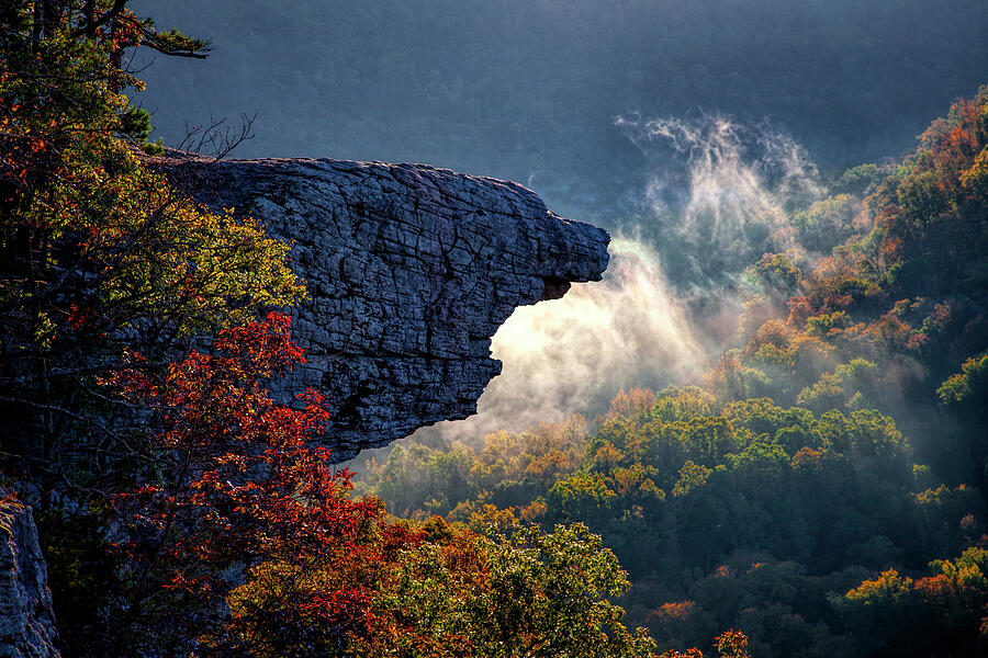  Arkansas Ozarks Hawksbill Crag Photograph by Harriet Feagin