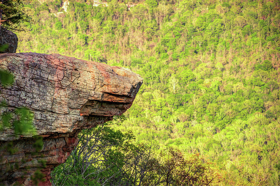 Nature Photograph - Hawksbill Crag - Whitaker Point - Northwest Arkansas by Gregory Ballos